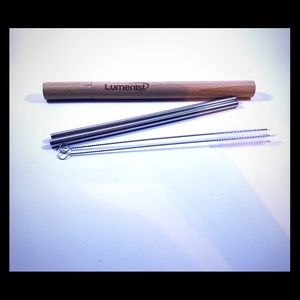 Metal Straw/brush Set